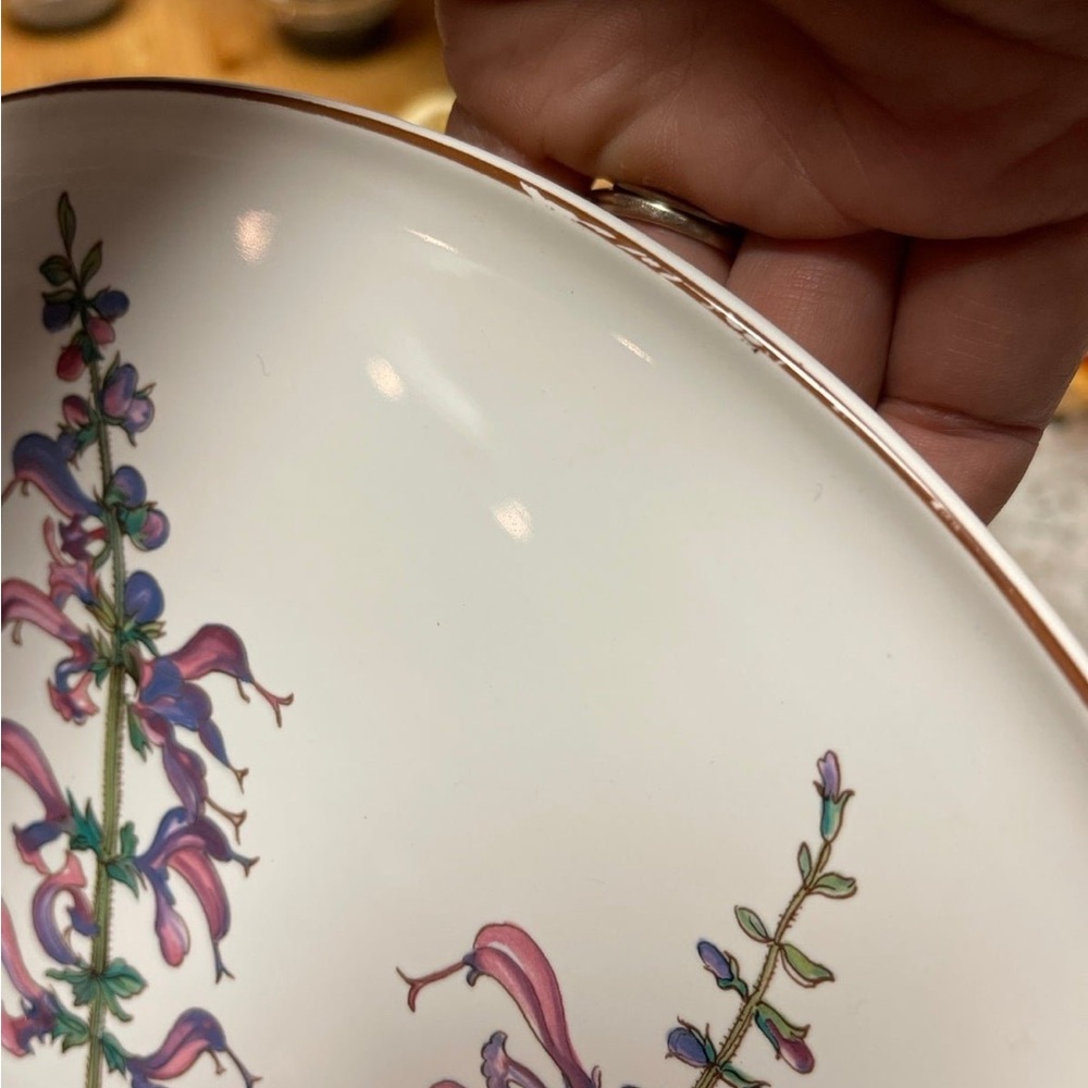 VILLEROY & BOCH Botanica 12" Cake Plate / Tray -Salvia Pratensis Meadow Sage - Picture 8 of 9